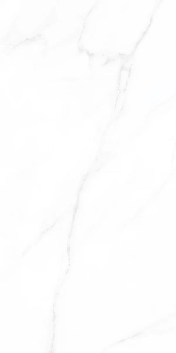 face 6
